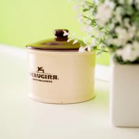 Saint Peter Welcoming Roma