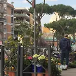Saint Peter Welcoming Rom